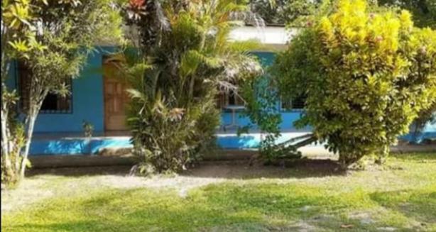 Magica flores Apartamento Cahuita Exterior foto