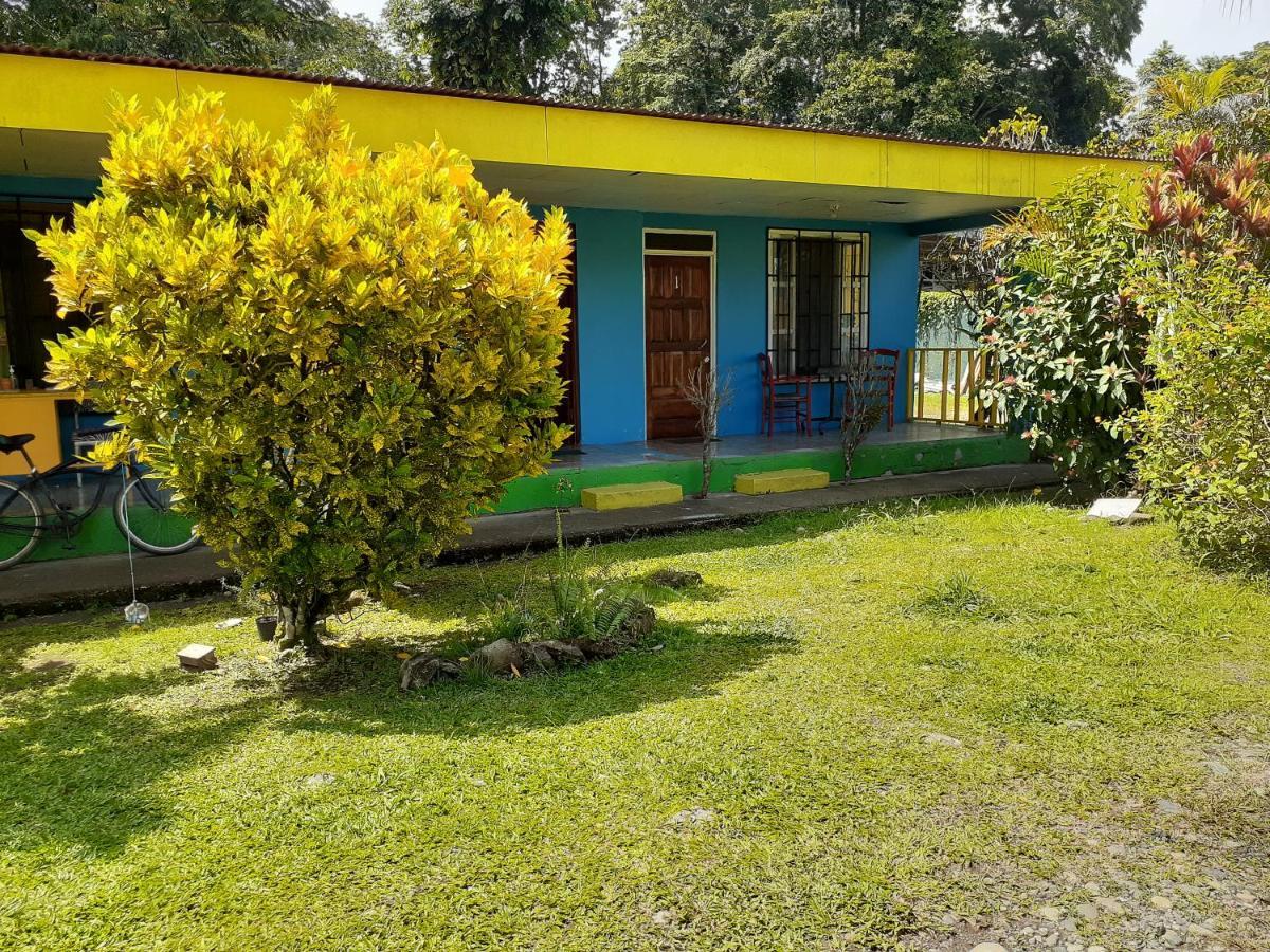Magica flores Apartamento Cahuita Exterior foto